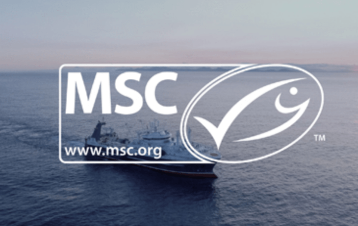 MSC’s new fisheries standard unanimously approved by trustees