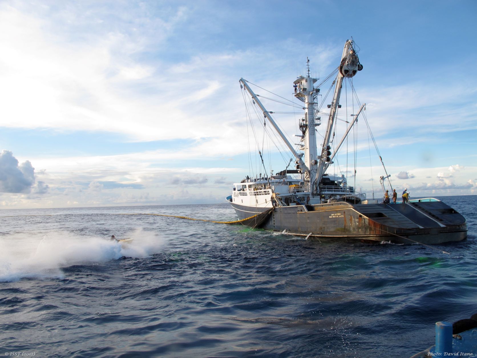 ICCAT urged to adopt harvest strategy for bluefin tuna