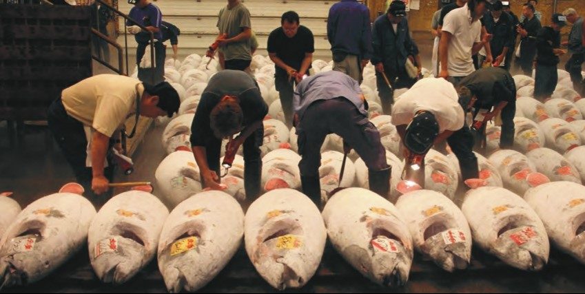 Sourcing seafood responsibly: what trade and retail want