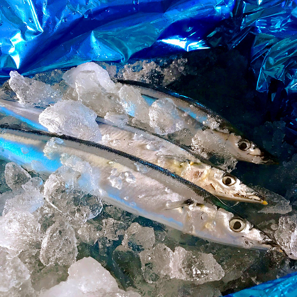 Poor catches of north Pacific saury show the need for a harvest strategy