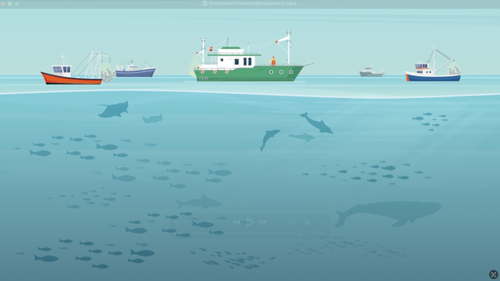 Thumbnail for The Evolution of Management Procedures animation