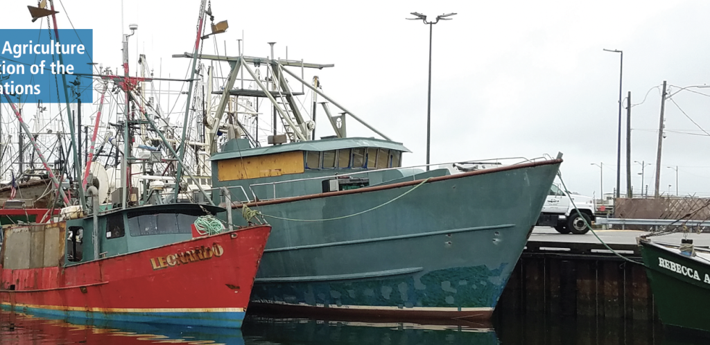 Management Procedures And Management Strategy Evaluation: A Brief Guide For Managers (2024)