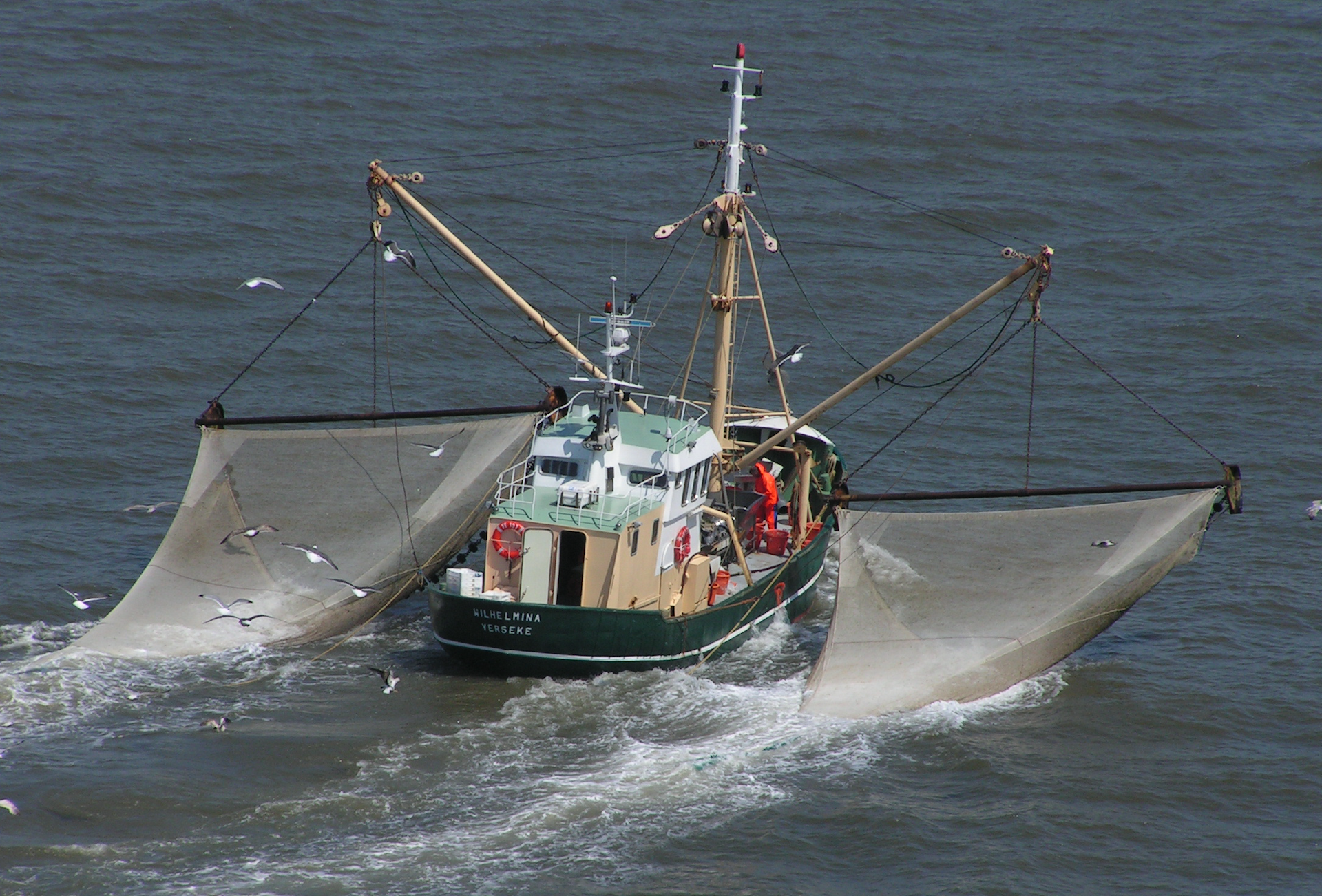 Webinar focused on how harvest strategies will help the EU secure sustainable tuna fisheries
