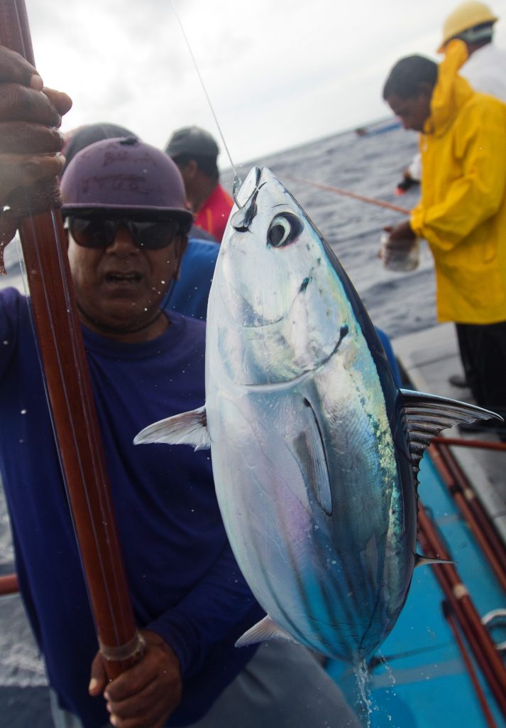 Harvest Strategies  At this year's WCPFC meeting, be thankful for skipjack  tuna