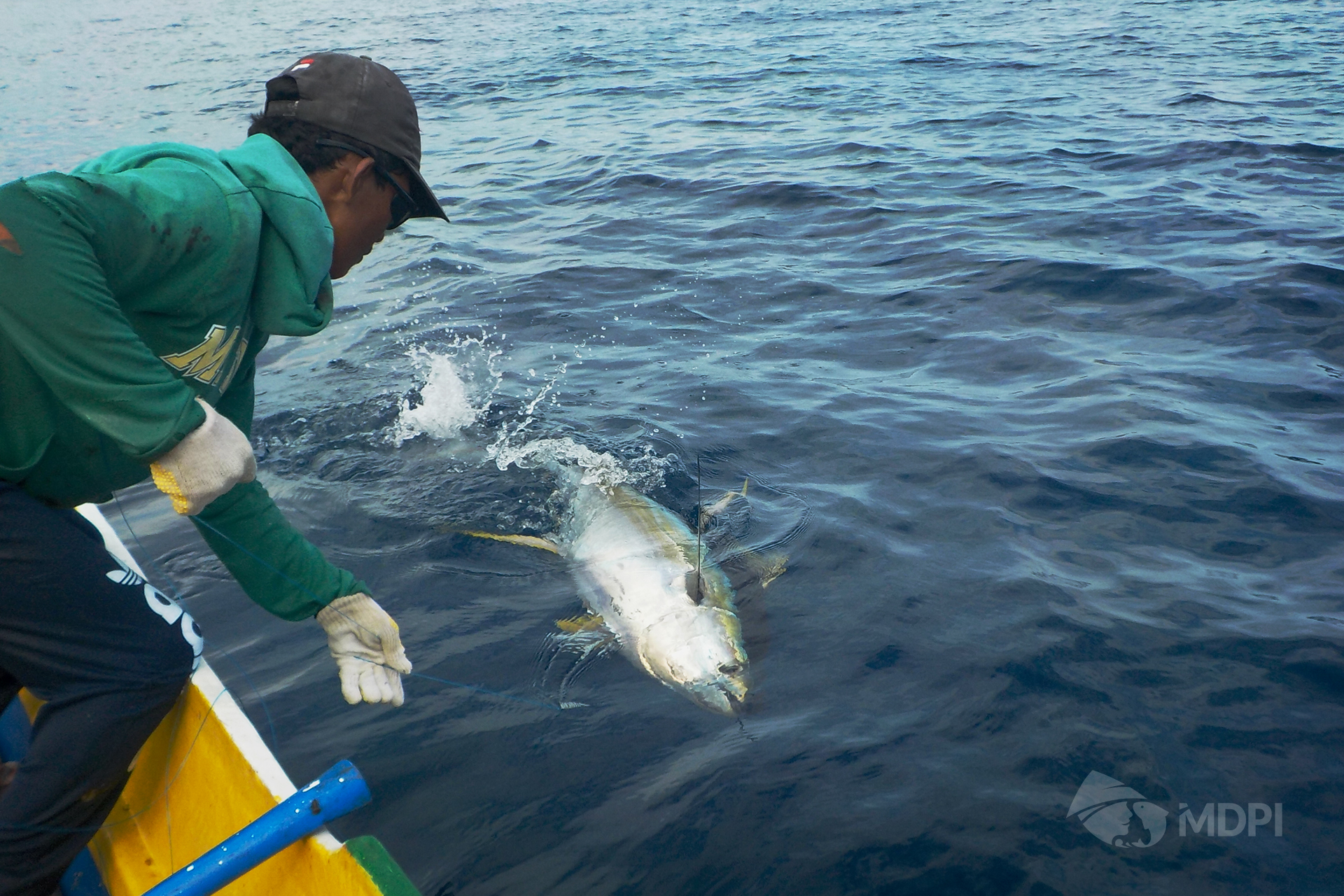 Guest Blog: The Importance of the Tropical Tuna Harvest Strategy for Indonesian Small-scale Fishers