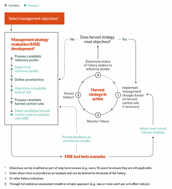 select-management-objectives