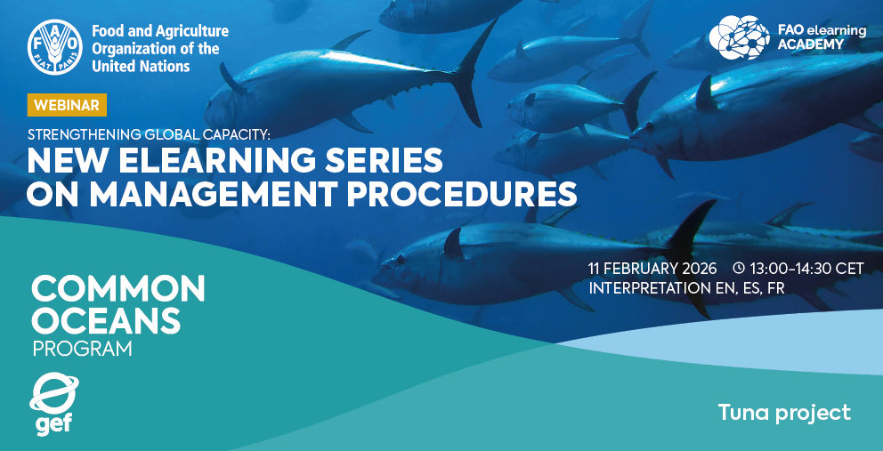 Banner Webinar 11.02.206