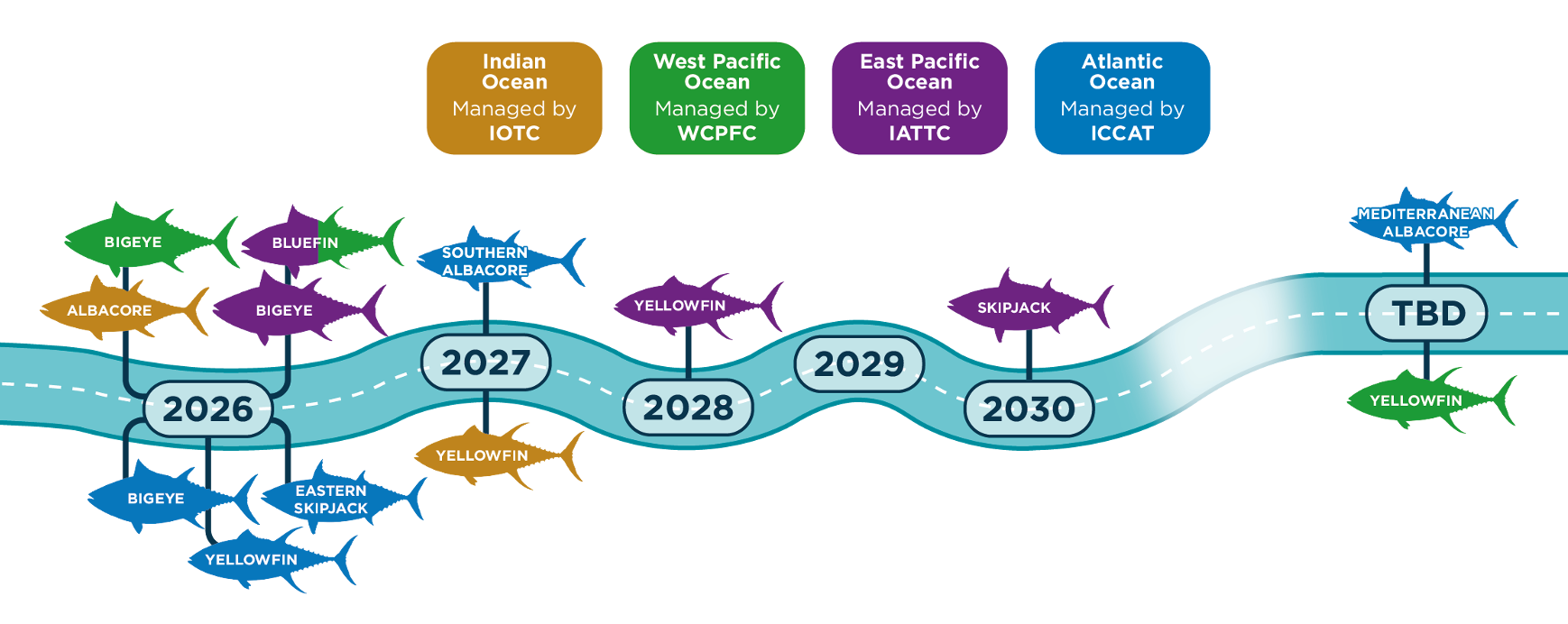 Timeline of tuna MP adoptions by RFMO (IOTC, WCPFC, IATTC, ICCAT) from 2026 to 2030.