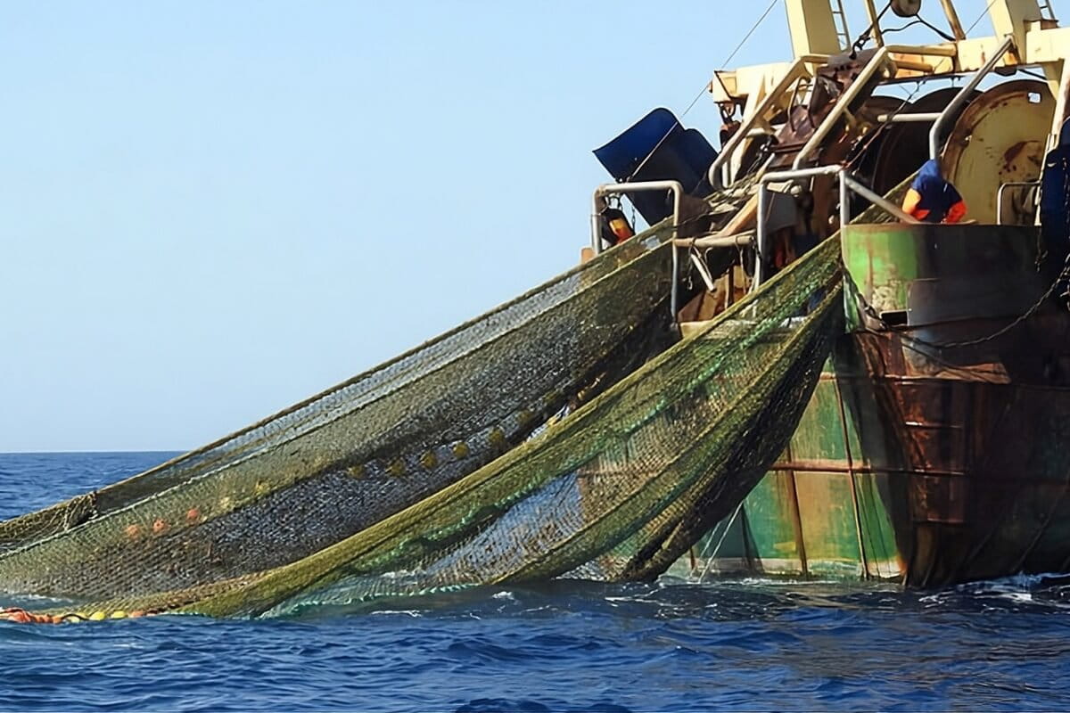 NPFC adopts illegal fishing measures — but no Emperor Seamount protections