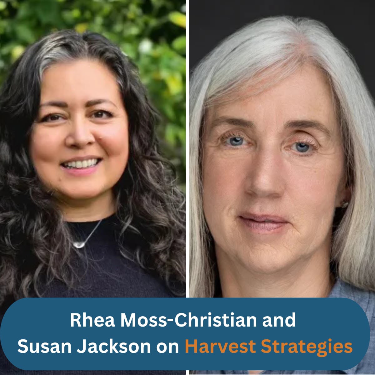 A Conversation Between Leaders: WCPFC and ISSF
